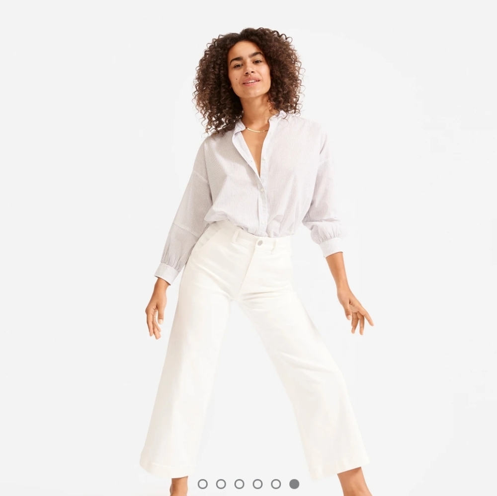 Everlane Wide Leg Crop Pant